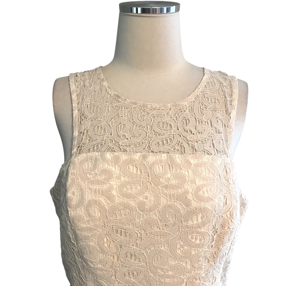 NWT ($108) Limited Cream Lace Fit & Flare Midi Dress Sz 10 - Picture 6 of 11